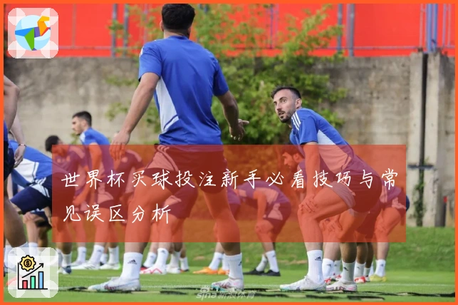 世界杯买球投注新手必看技巧与常见误区分析
