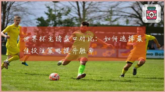 世界杯竞猜盘口对比：如何选择最佳投注策略提升胜率
