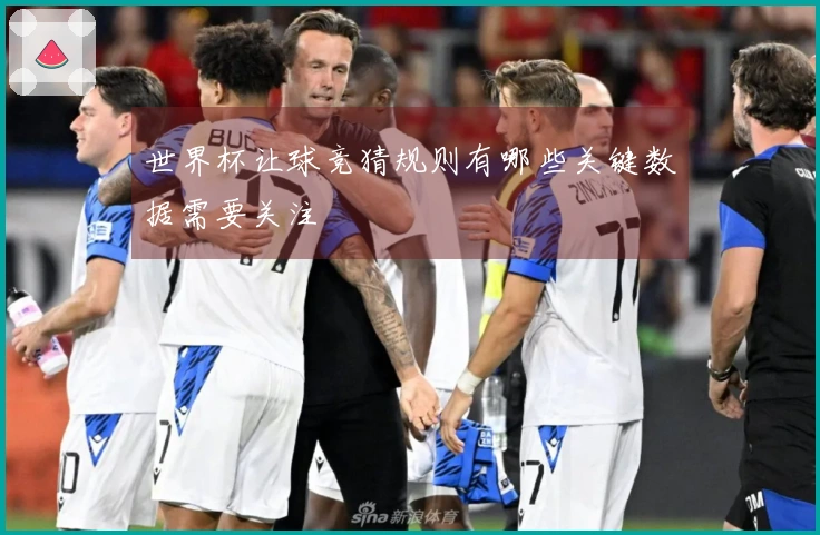 世界杯让球竞猜规则有哪些关键数据需要关注