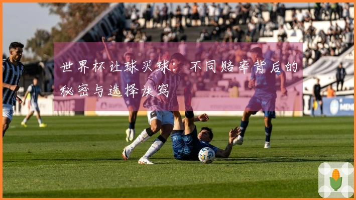 世界杯让球买球：不同赔率背后的秘密与选择诀窍