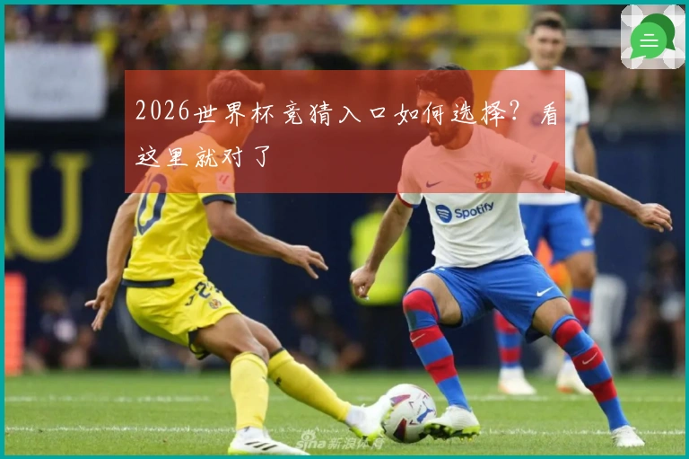 2026世界杯竞猜入口如何选择？看这里就对了