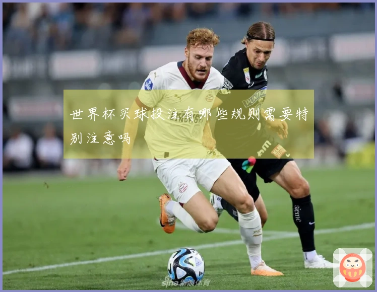 世界杯买球投注有哪些规则需要特别注意吗