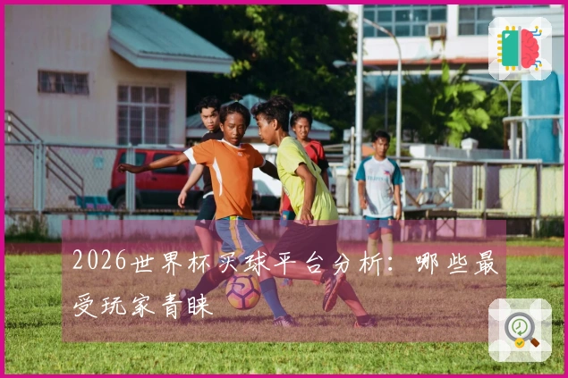 2026世界杯买球平台分析：哪些最受玩家青睐