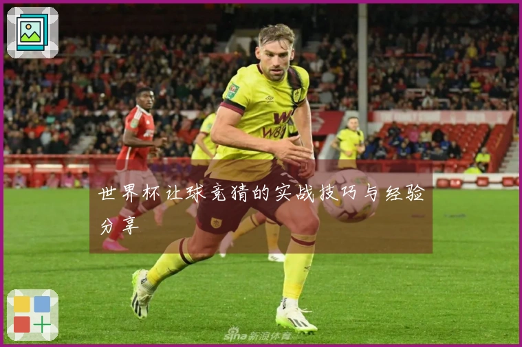 世界杯让球竞猜的实战技巧与经验分享