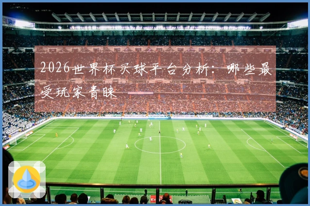 2026世界杯买球平台分析：哪些最受玩家青睐