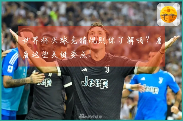 世界杯买球竞猜规则你了解吗？看看这些关键要点！