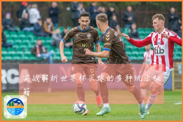 实战解析世界杯买球的多种玩法秘籍