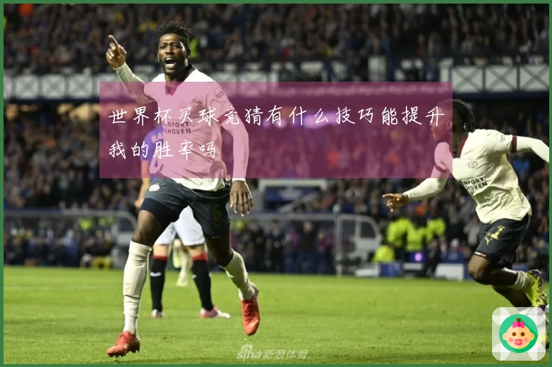 世界杯买球竞猜有什么技巧能提升我的胜率吗