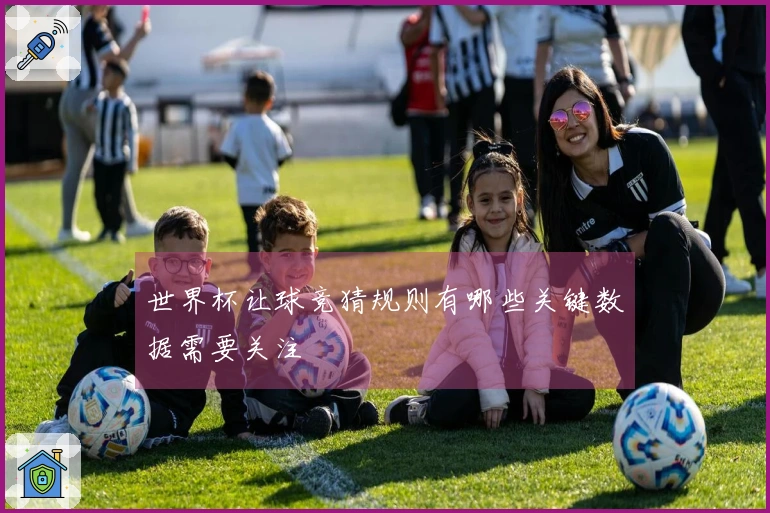 世界杯让球竞猜规则有哪些关键数据需要关注