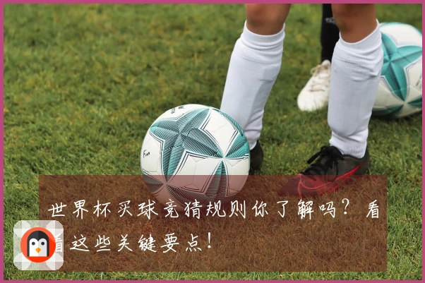 世界杯买球竞猜规则你了解吗？看看这些关键要点！